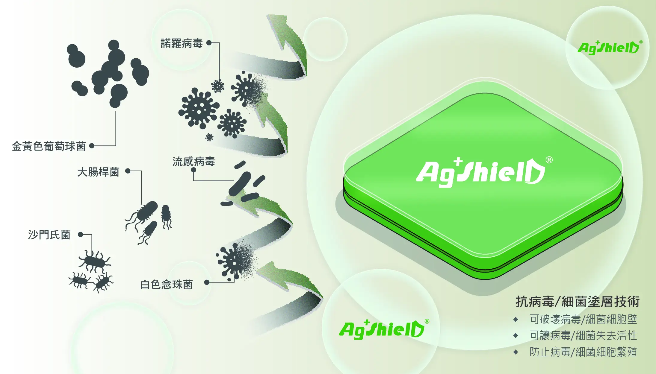 Ag+shielD 抗菌抗病毒塗層